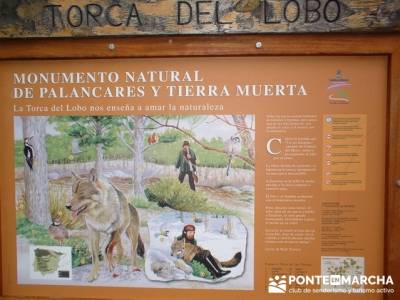 Monumento Natural de Palancares y Tierra Muerta; grupos de trekking